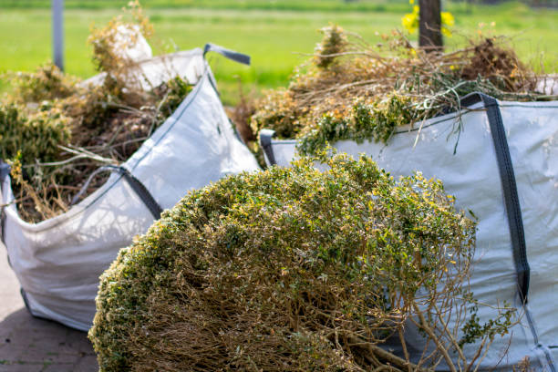 Best Basement Cleanout Services  in Haines City, FL
