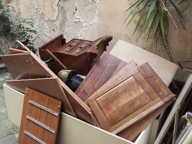Yard Cleanup Services in Haines City, FL